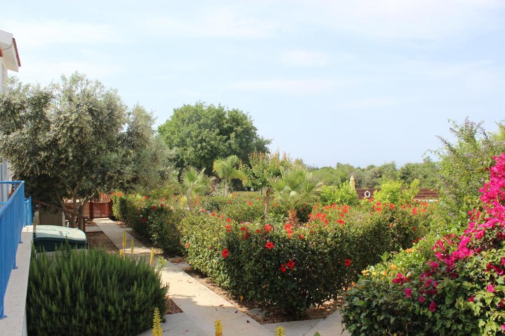 Kavalla Forest Villas Paphos Exteriör bild